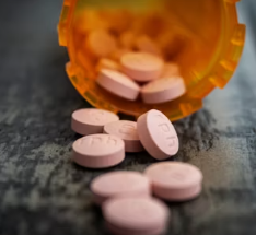 비타민K2 하루 권장량