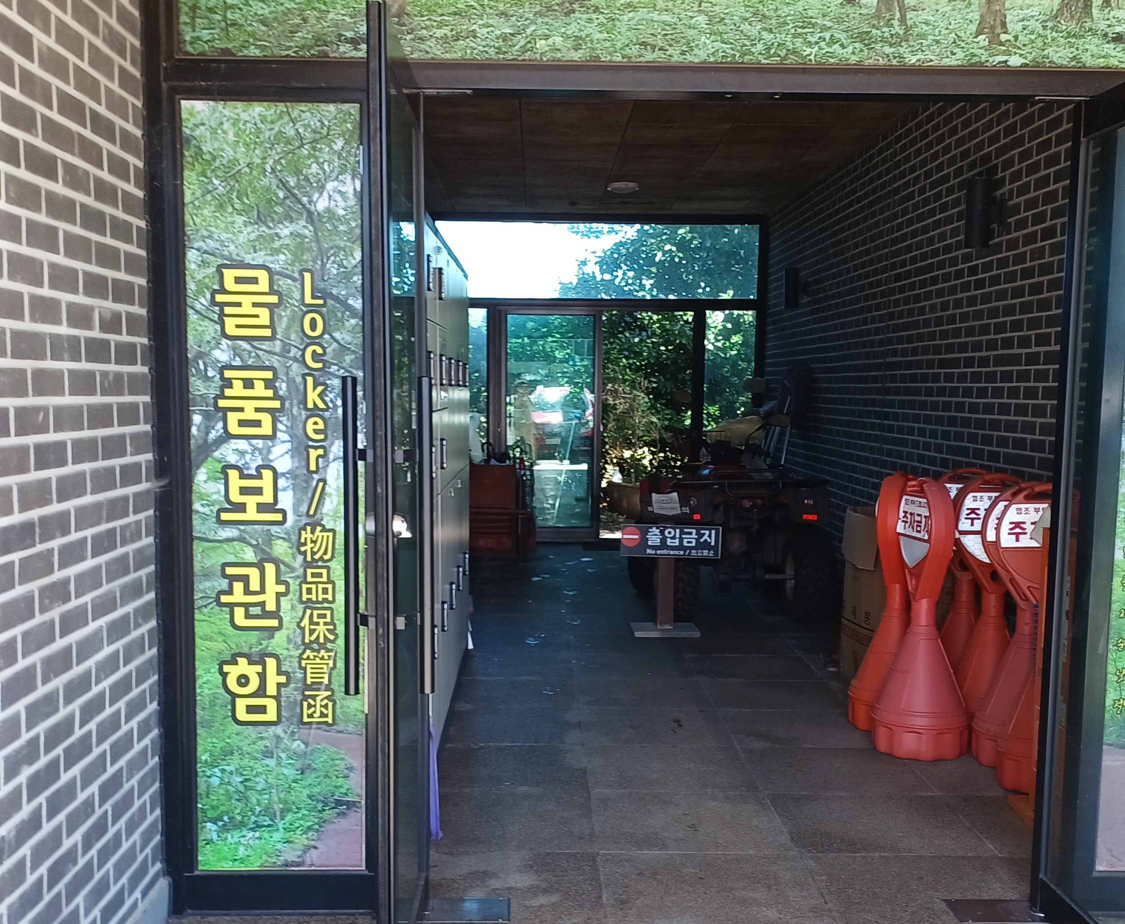 제주-비자림-2