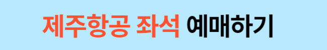 비행기 상황별 좋은 좌석 예매하는 방법