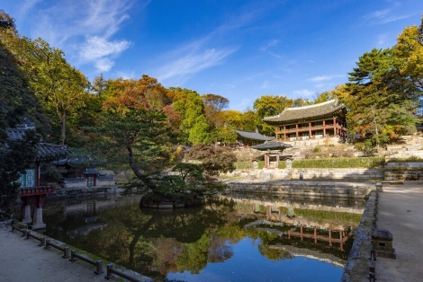 전통문화와 조경의 만남