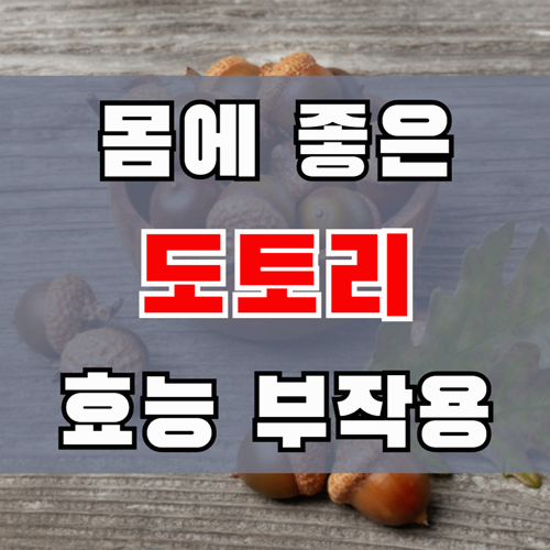 몸에 좋은 도토리 효능