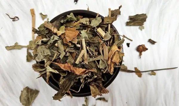 삼백초 차 효능