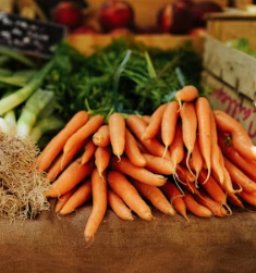 당근 효능 부작용 고르는법 칼로리