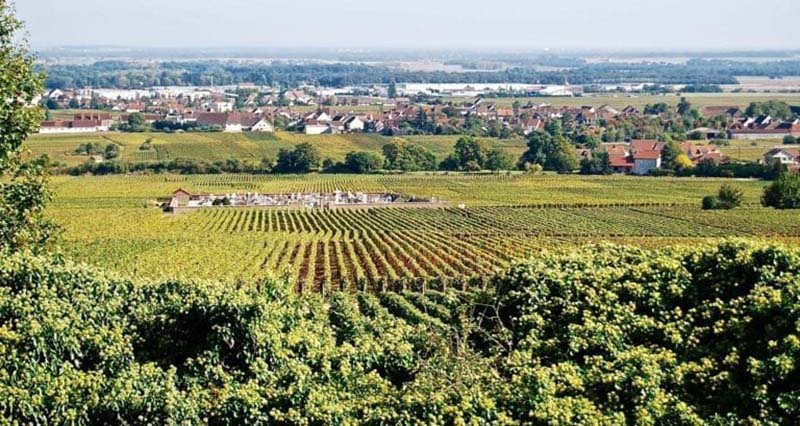 chambolle musigny 마을