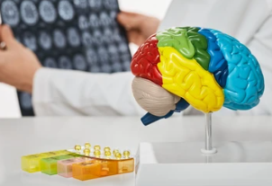 뇌종양 두통부위