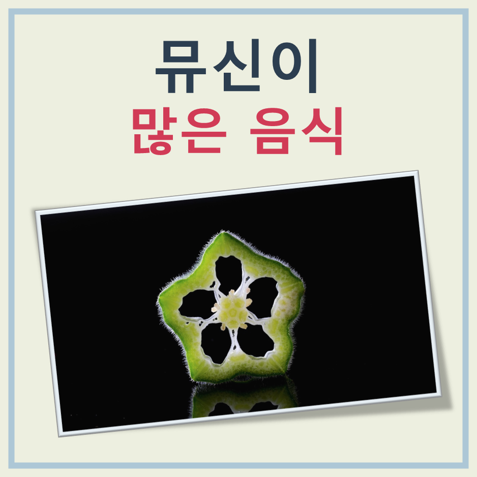 뮤신이 많이 들어있는 음식 대표 이미지