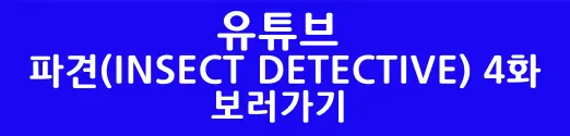 파견 4화 유튜브 바로가기 버튼