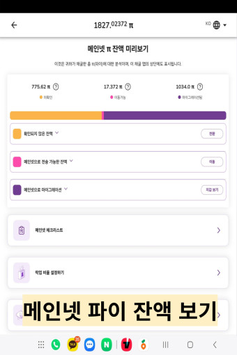 메인넷 파이잔액 보기
