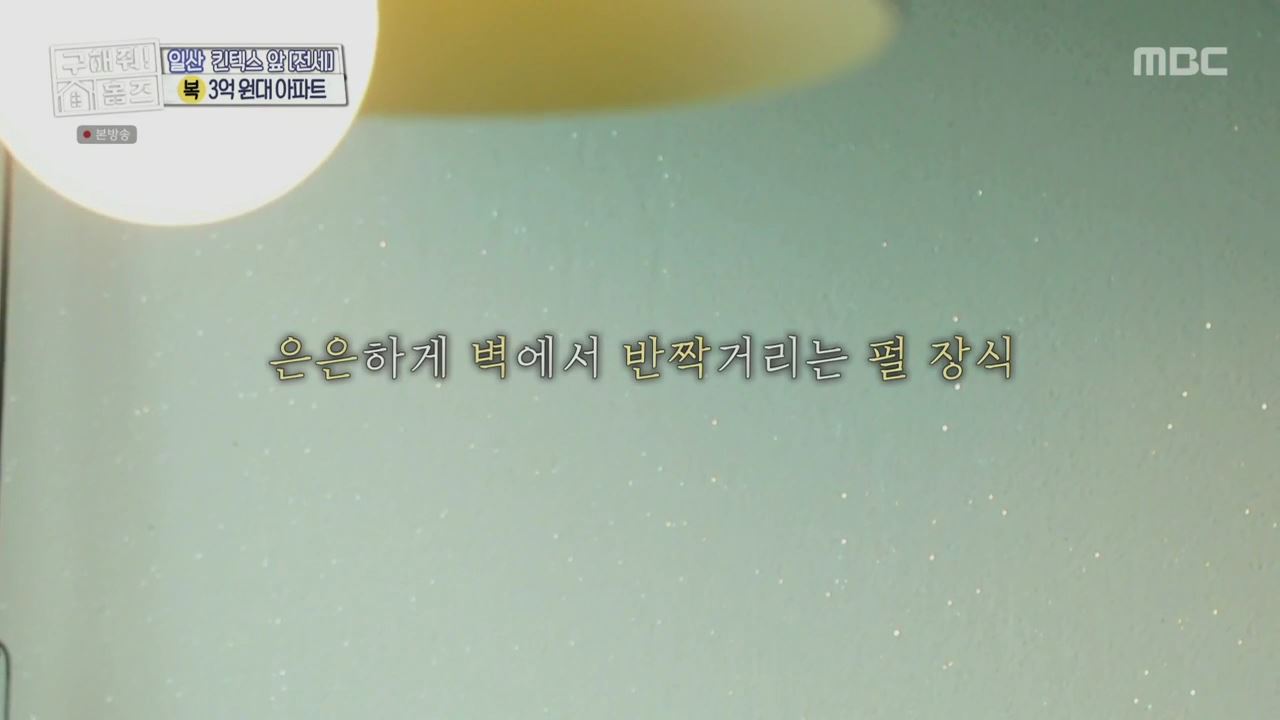 구해줘홈즈 고양시 일산서구 대화동 사랑의 대화 하우스 매물 가격 및 구조 인테리어 리모델링 최종선택 소개