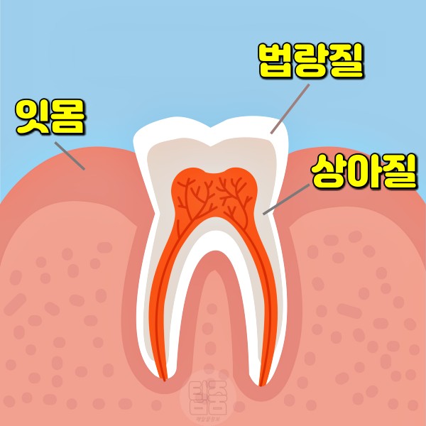 소금 양치 효과 부작용, 팁줌