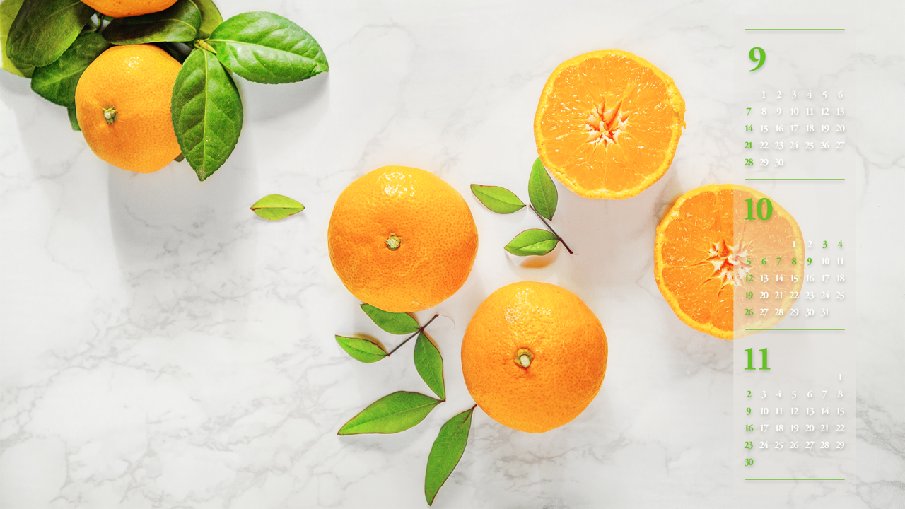 02 반으로 자른 감귤 B - 2025년10월 노트북배경화면