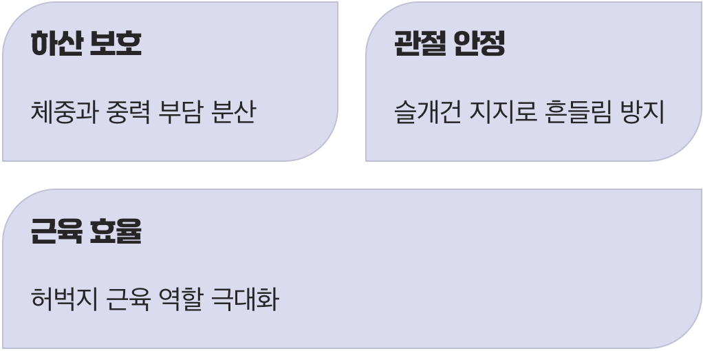 등산: 내리막길의 든든한 보험