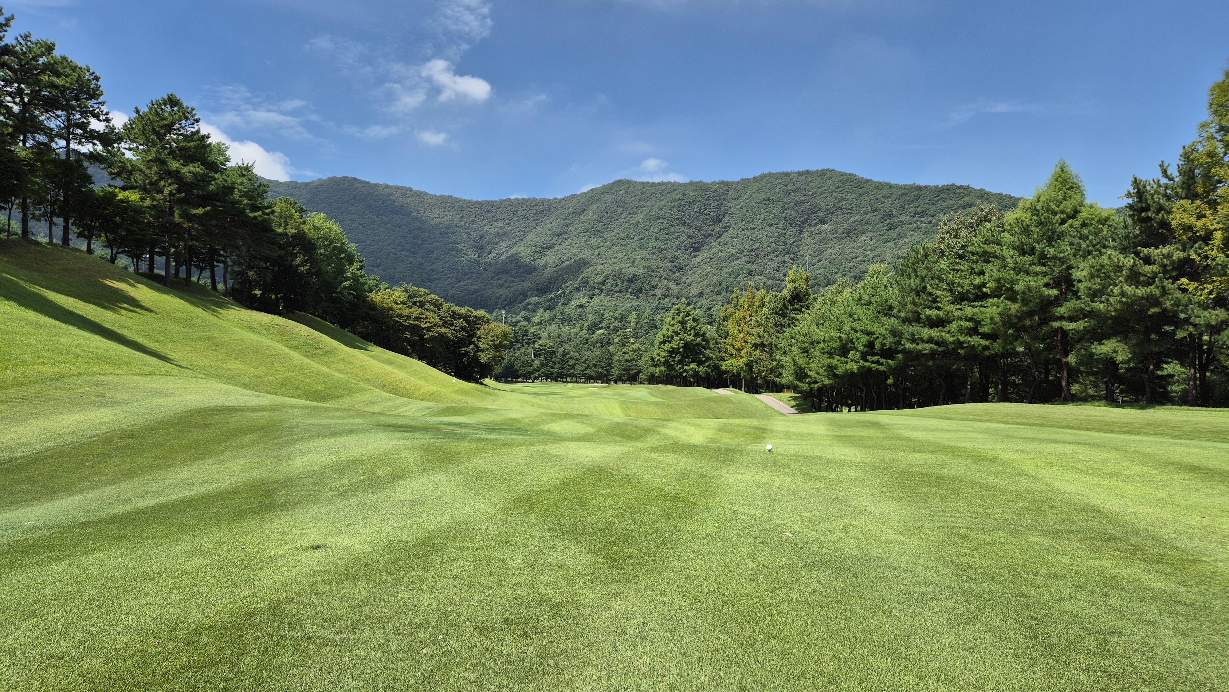 골프존카운티 천안 코스 사진 및 공략 정보