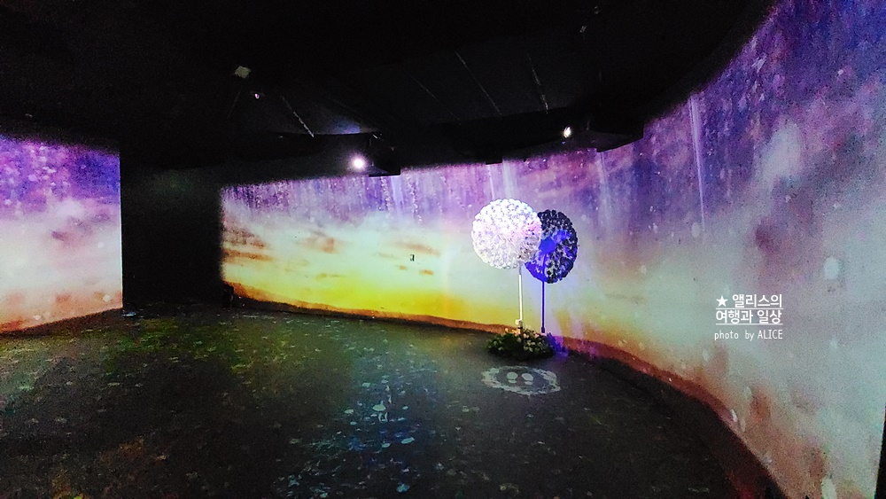 플라워바이네이키드 홍대 놀거리 입장료 23% 할인예매방법, 즐기는 꿀팁 네가지