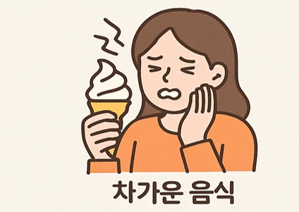 치아 구조에서 민감한 부위 설명