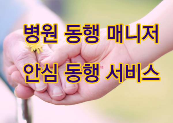 병원 동행 매니저 안심 동행 서비스 역할 자격조건 이용방법 신청방법