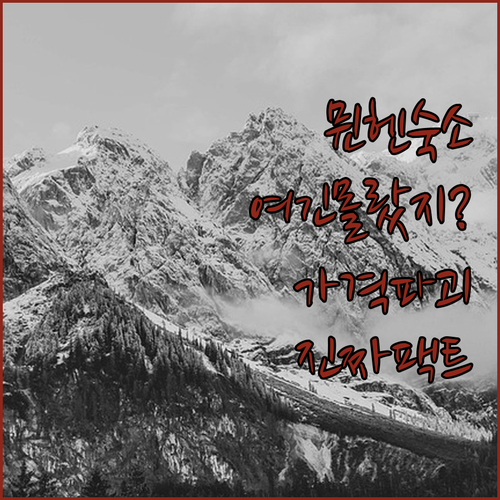 나만 알고 싶은 뮌헨 숙소 5곳 위치..