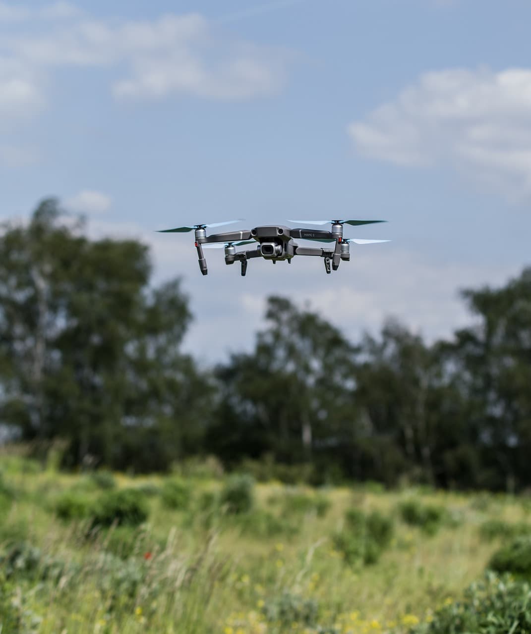 드론을 활용한 야생 동물 보호: 혁신적 사례