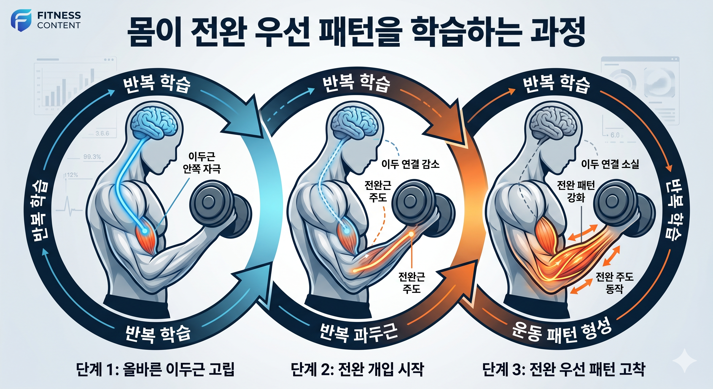 몸이 전완 우선 패턴을 학습하는 과정
