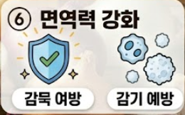 양파 효능