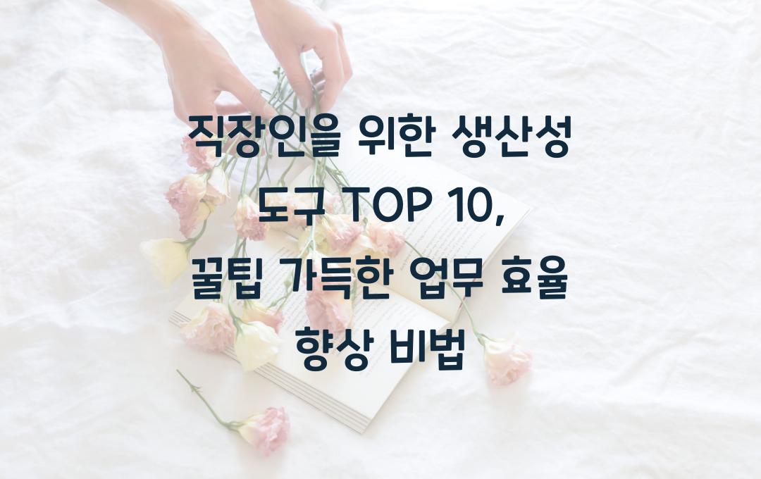 직장인을 위한 생산성 도구 TOP 10 (업무 효율 극대화 꿀팁)