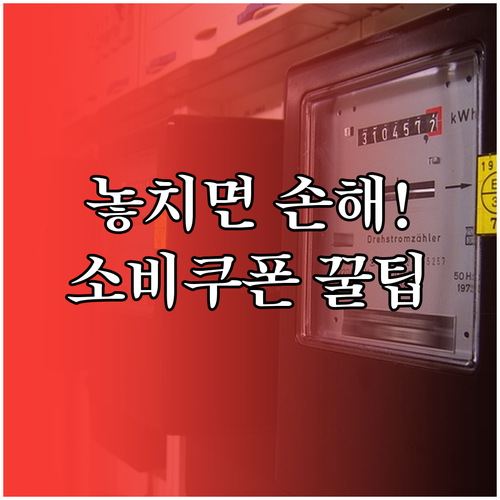 민생회복 소비쿠폰과 건강보험료 정정 ..