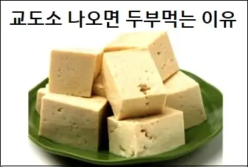 교도소 나오면 두부먹는 이유