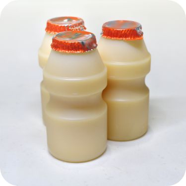 프로바이오틱스 유산균 추천