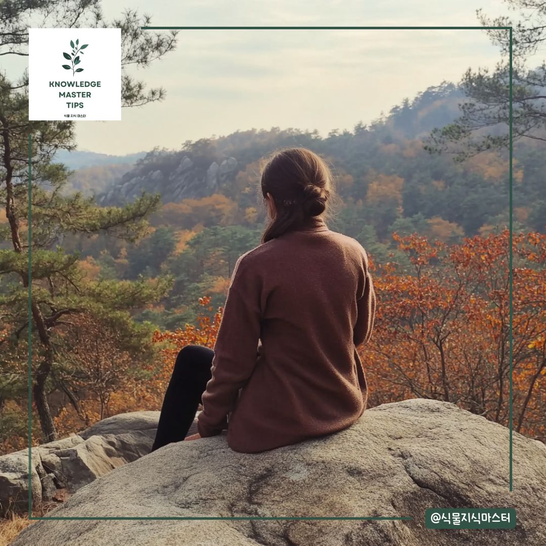 서울 단풍 명소 - 삼청공원 말바위 전망대