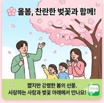 벚꽃 상식