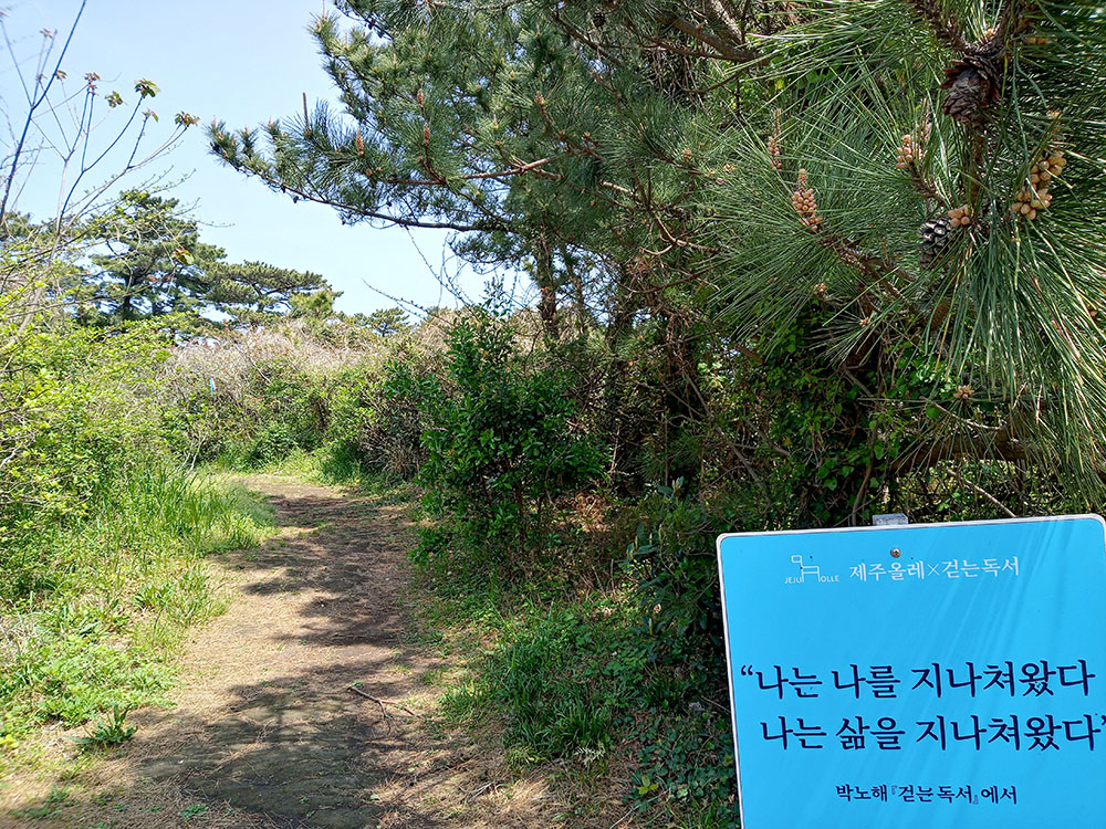 걷는독서 박노해