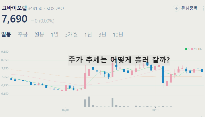 비만 치료제 관련주 대장주 TOP10
