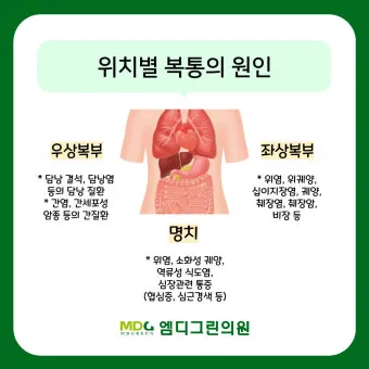 배를 콕콕 찌르는 통증의 8가지 원인 하는법 알아보기로 정리_13