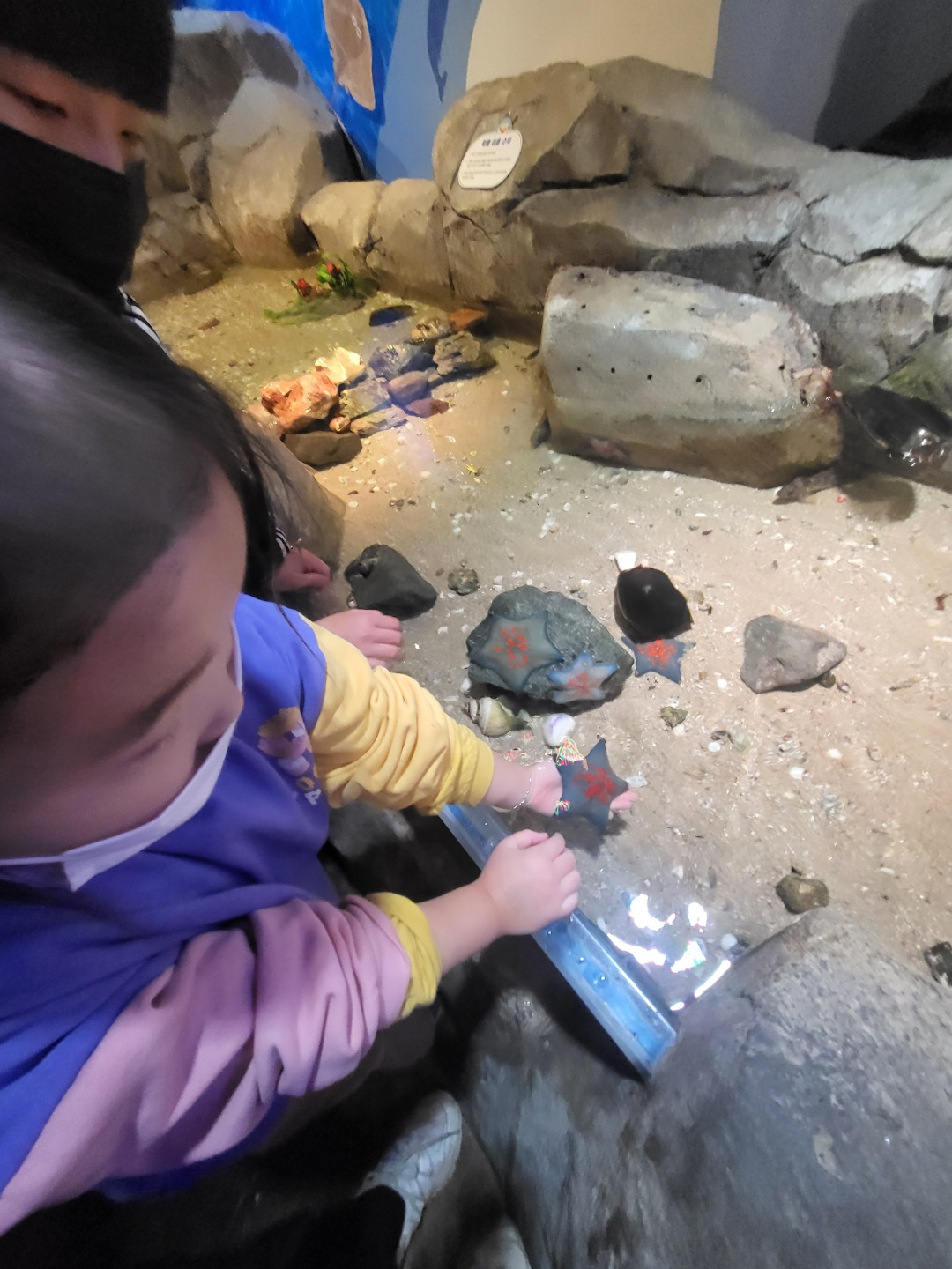 부산 아쿠아리움