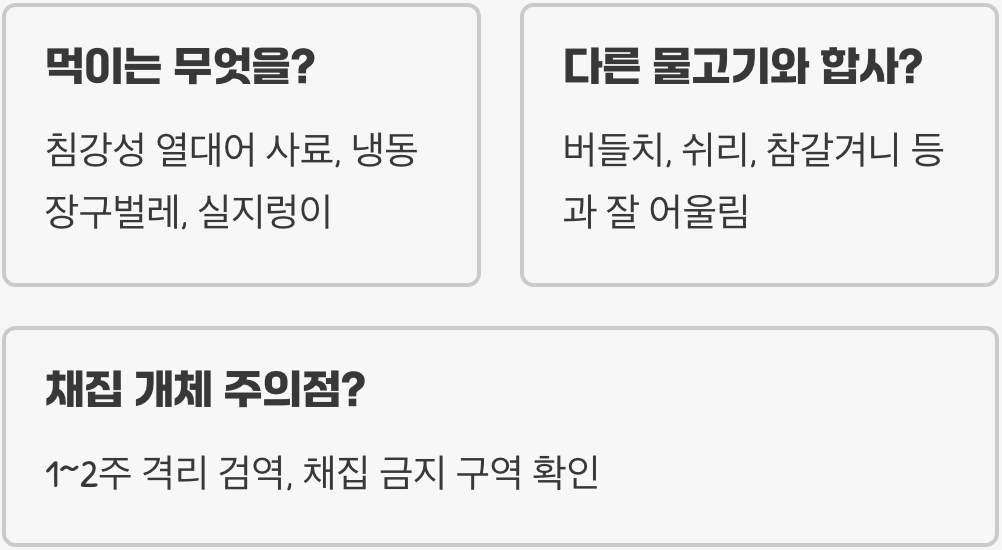 초보자가 돌고기 키울 때 가장 많이 하는 실수 5가지