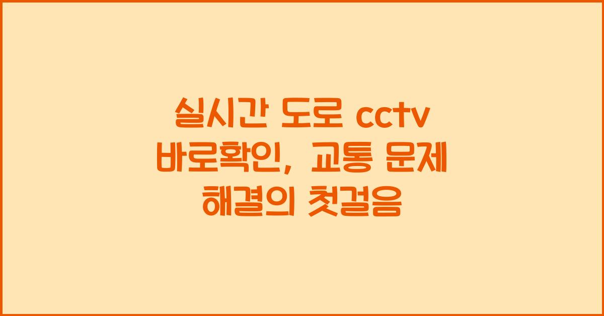 실시간 도로 cctv 바로확인