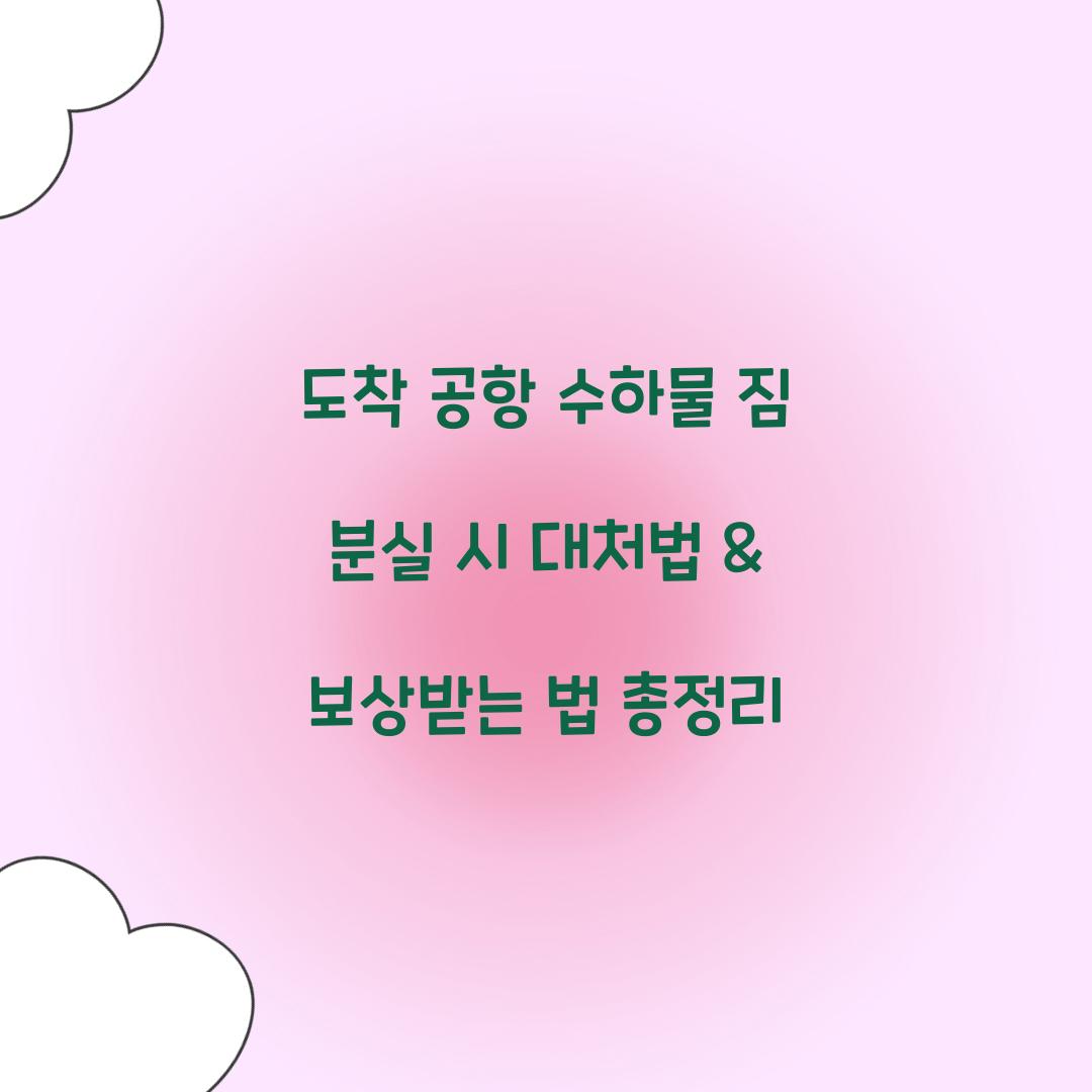 도착 공항 수하물 짐 분실