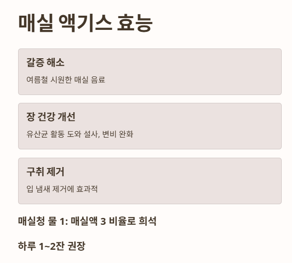 매실 액기스 효능