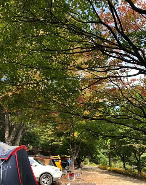 수산아카데미캠핑장