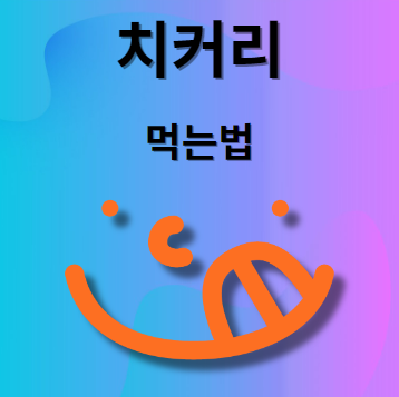 치커리 무침 만들기