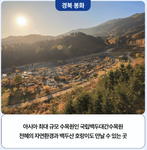 국내항공권 할인 및 카모아 렌트카 쿠폰 발급