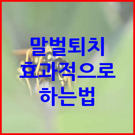 말벌퇴치