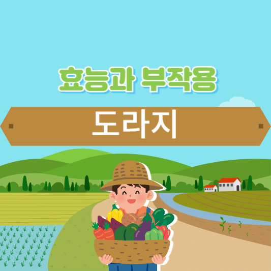 도라지의 효능과 부작용