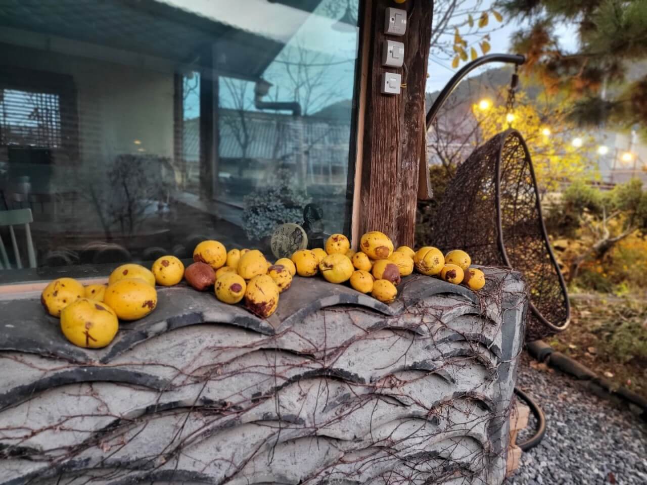 오늘N 나의 귀촌 일기 전남 나주 한옥 독채 숙소 촌캉스 봉하우스