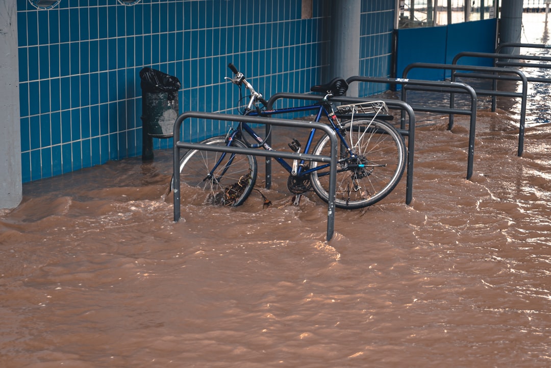 Flood