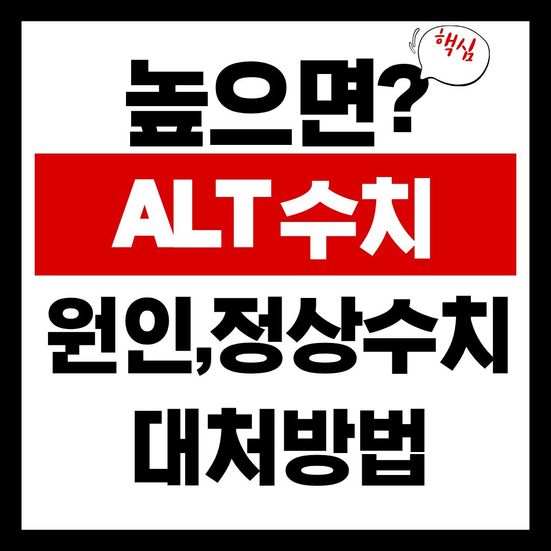 alt수치-썸네일