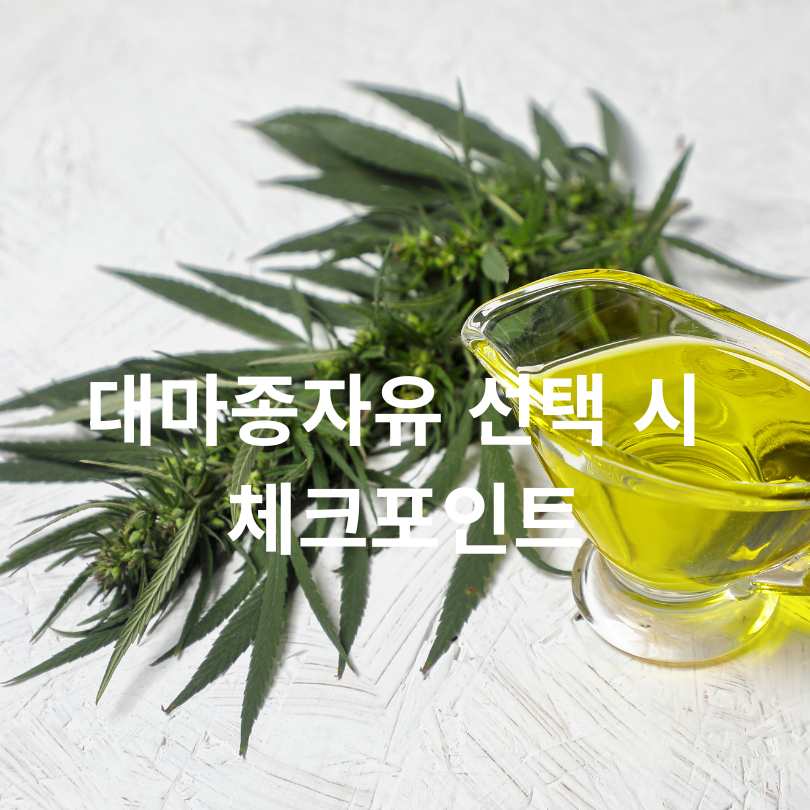 대마종자유 먹는 법과 효능, 부작용