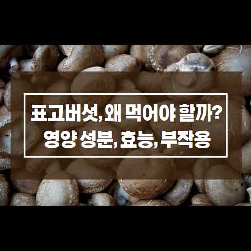 표고버섯 영양 성분, 효능, 부작용