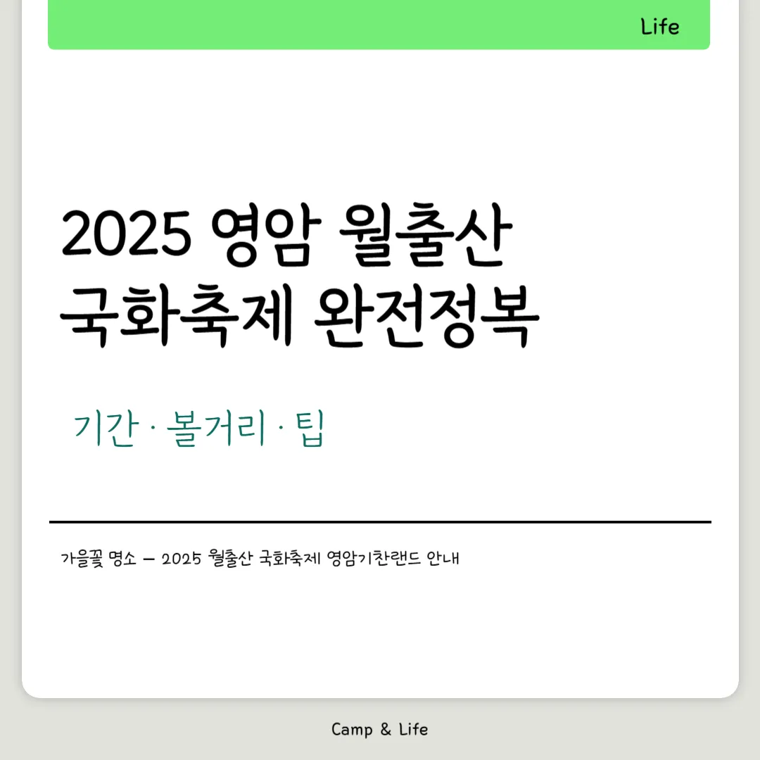 2025 영암 월출산 국화축제