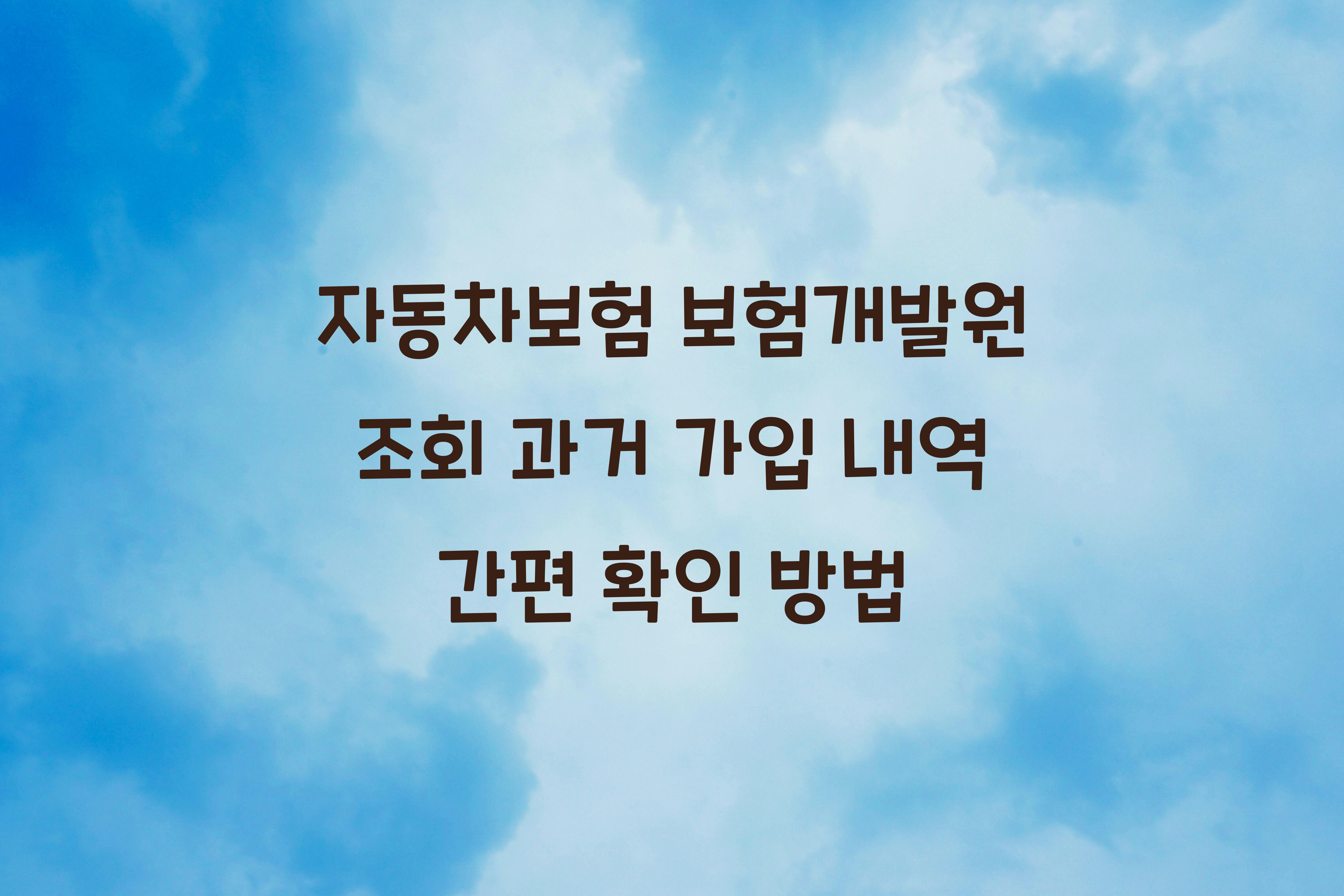 자동차보험 보험개발원 조회